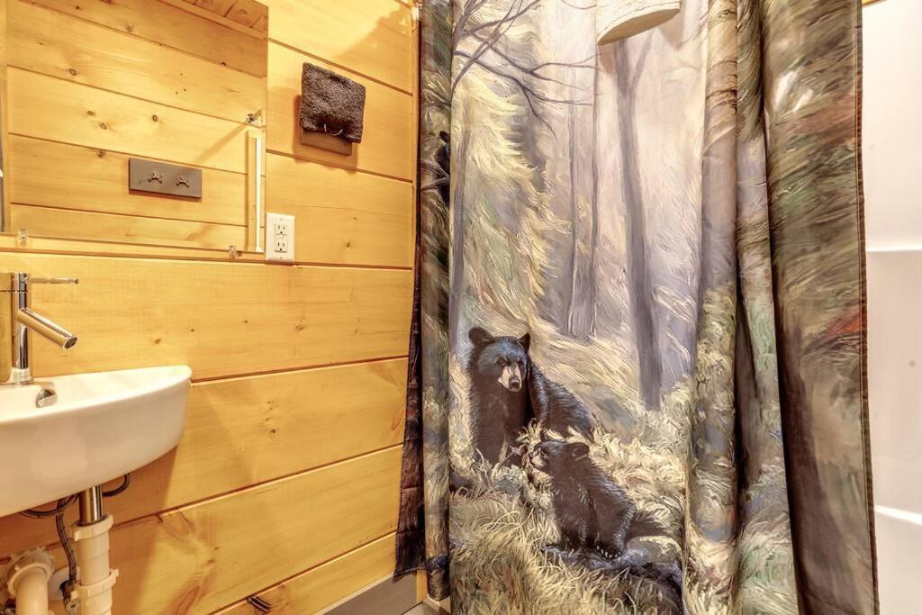 Dancing Bear Cabin- Relax & Enjoy! Сев'єрвілл Екстер'єр фото